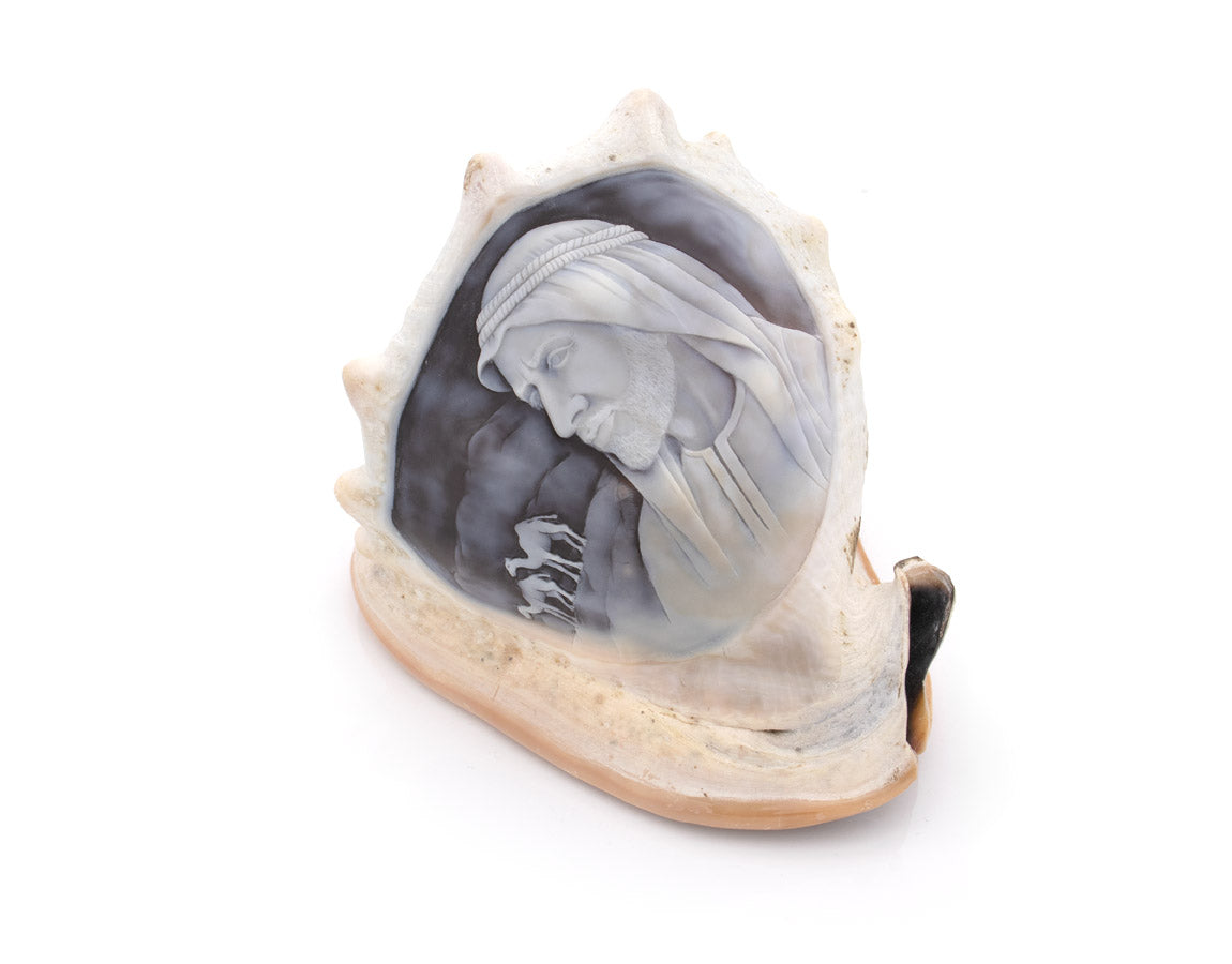 "Tribute to Sheikh Zayed"